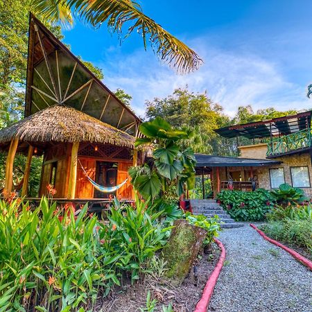 Tree House Beachfront Lodge Puerto Viejo de Talamanca 외부 사진