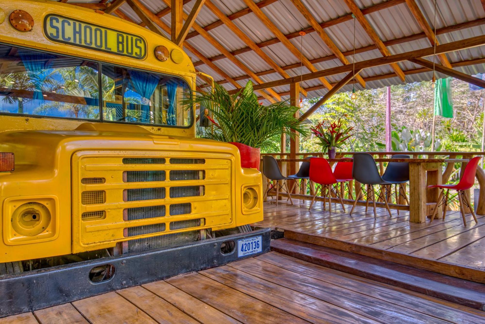 Tree House Beachfront Lodge Puerto Viejo de Talamanca 외부 사진