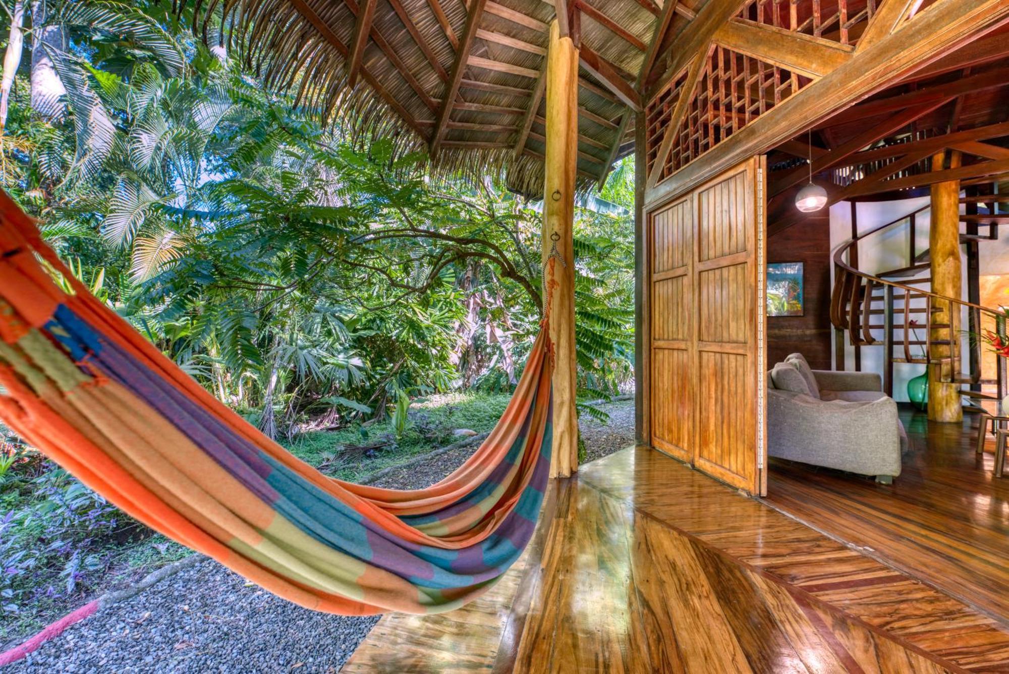 Tree House Beachfront Lodge Puerto Viejo de Talamanca 외부 사진