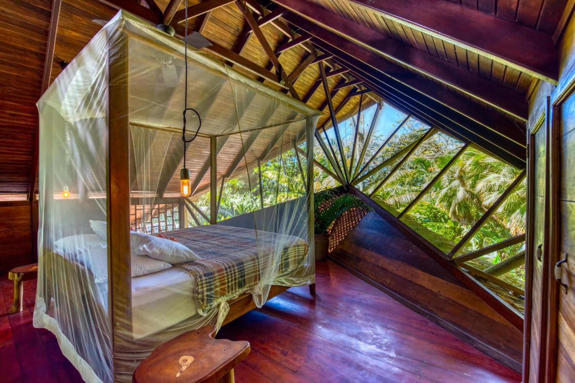 Tree House Beachfront Lodge Puerto Viejo de Talamanca 외부 사진