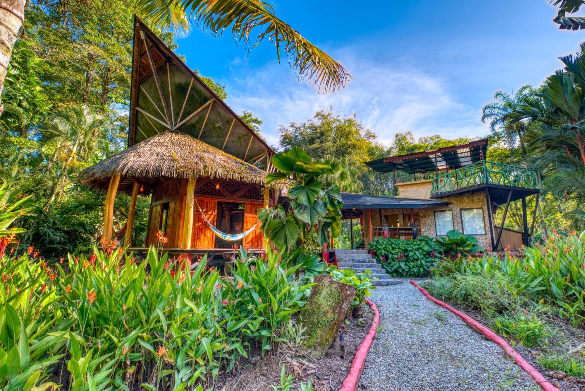 Tree House Beachfront Lodge Puerto Viejo de Talamanca 외부 사진