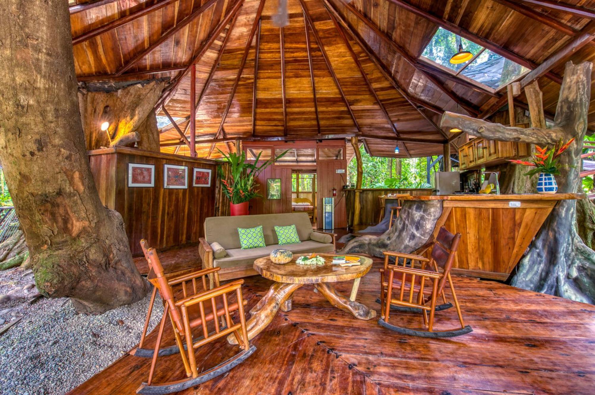 Tree House Beachfront Lodge Puerto Viejo de Talamanca 외부 사진