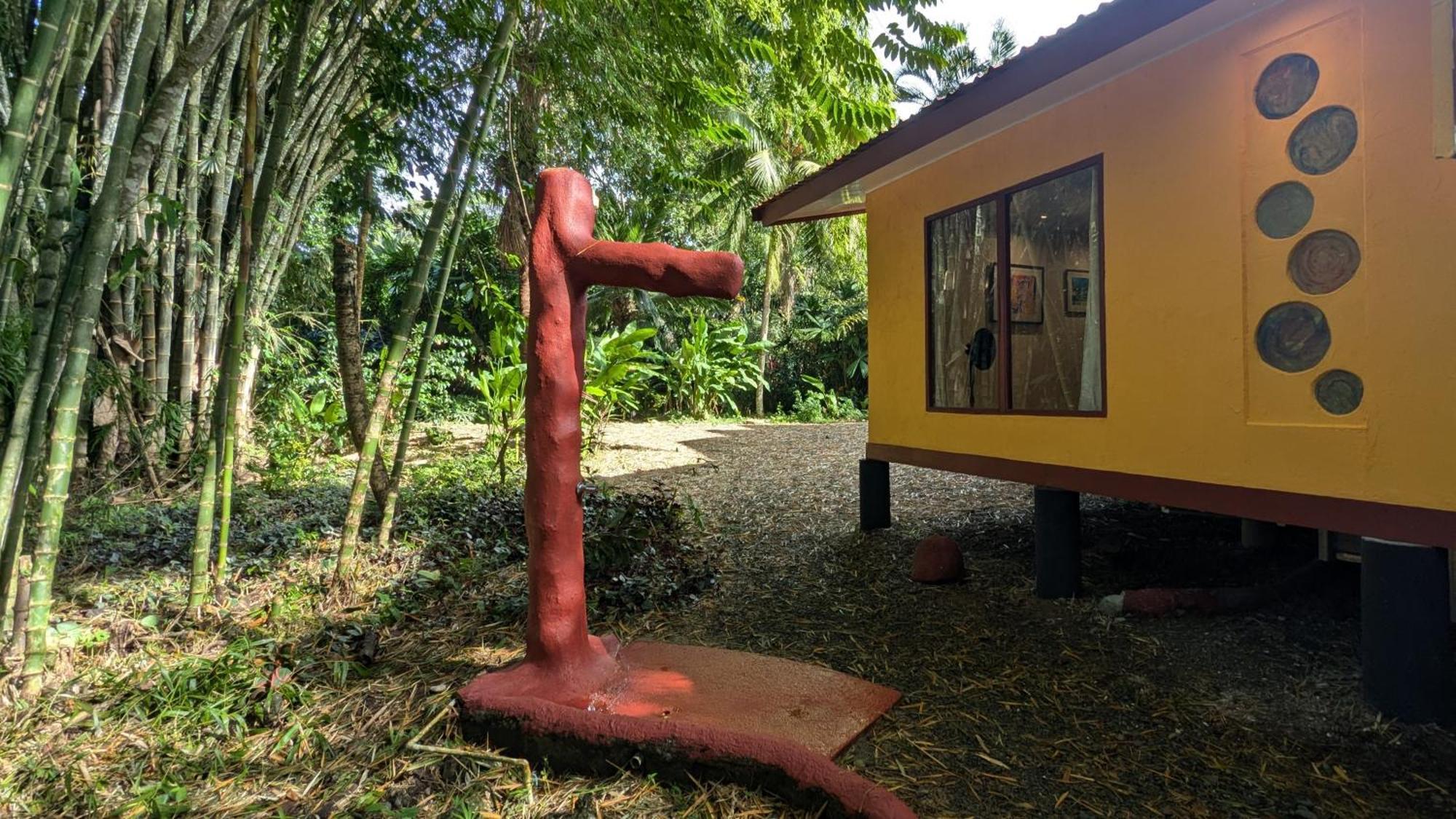 Tree House Beachfront Lodge Puerto Viejo de Talamanca 외부 사진