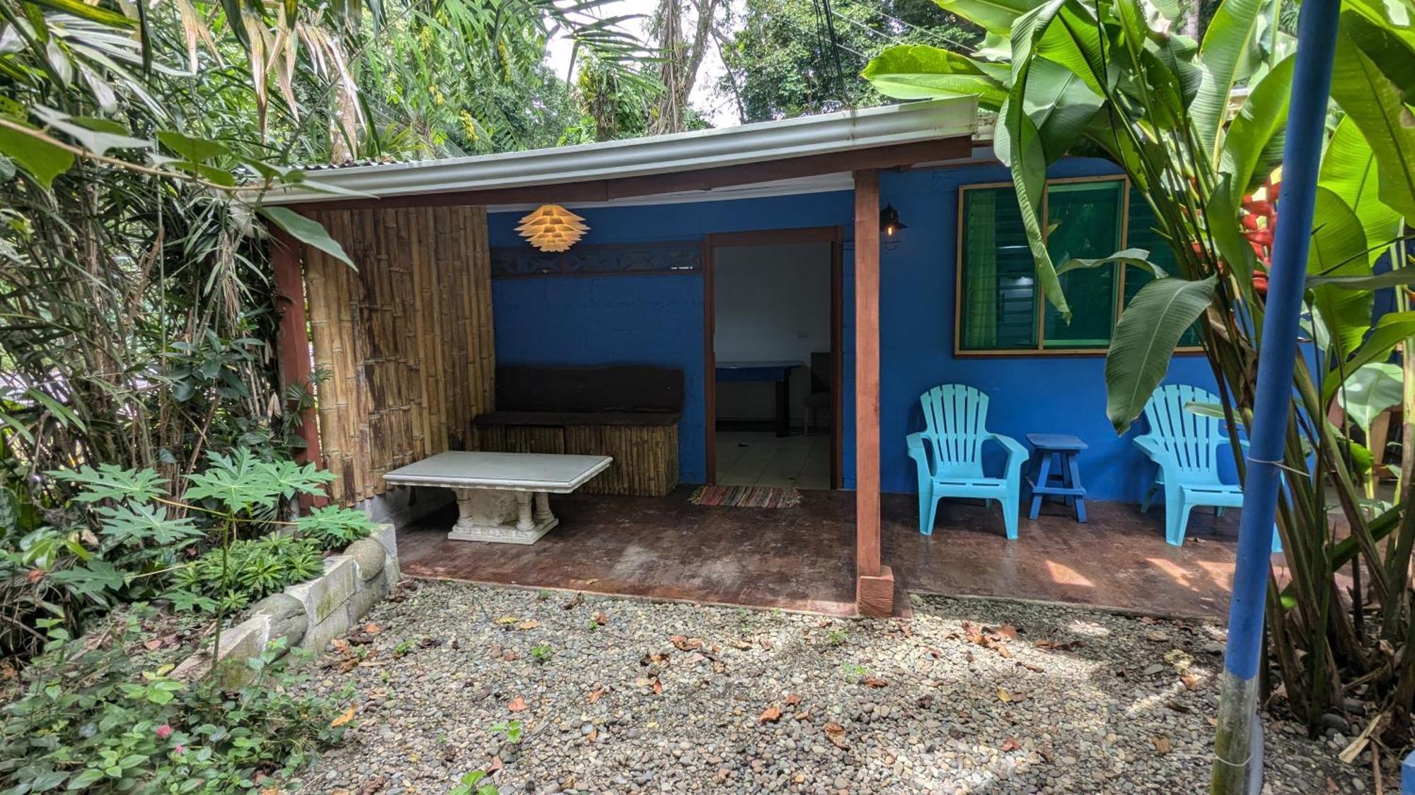 Tree House Beachfront Lodge Puerto Viejo de Talamanca 외부 사진
