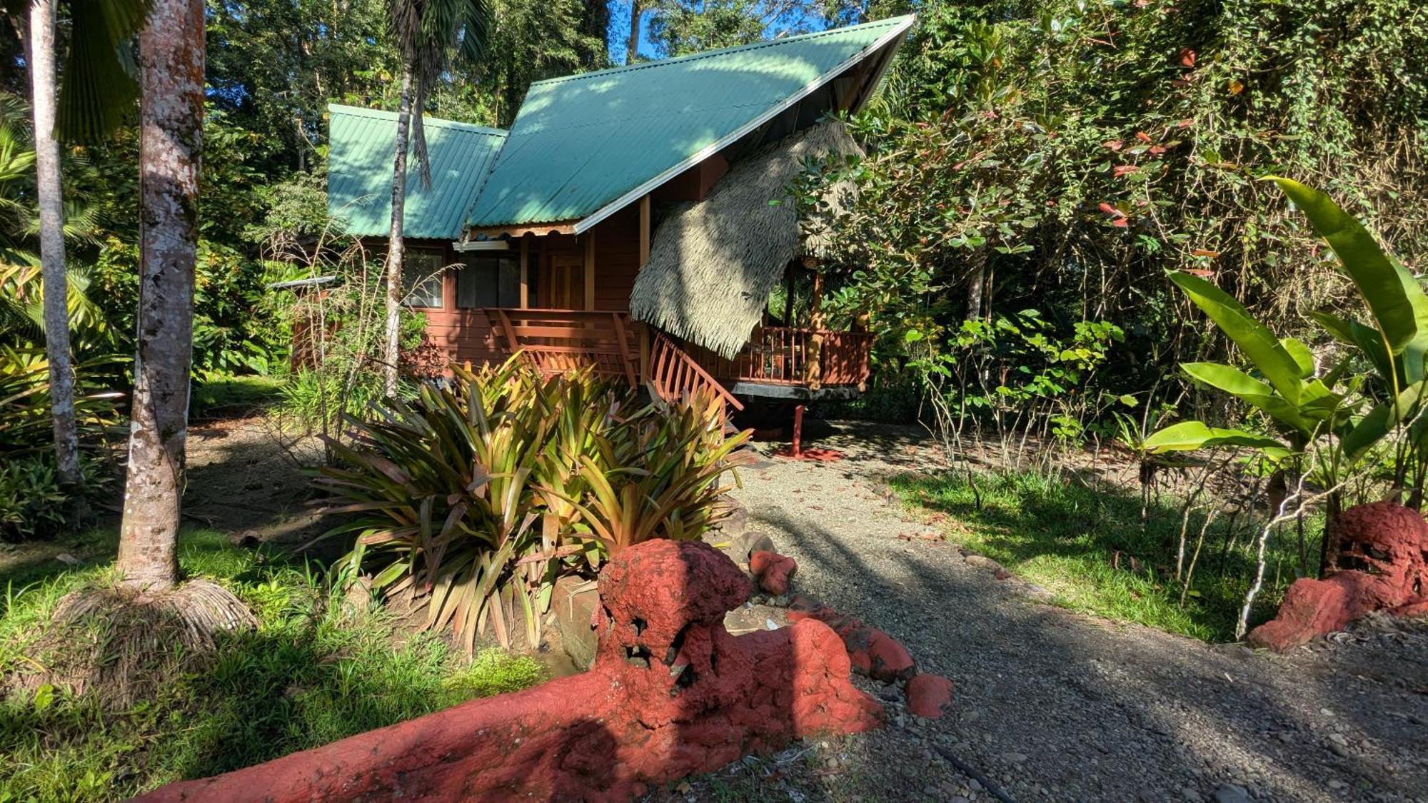 Tree House Beachfront Lodge Puerto Viejo de Talamanca 외부 사진