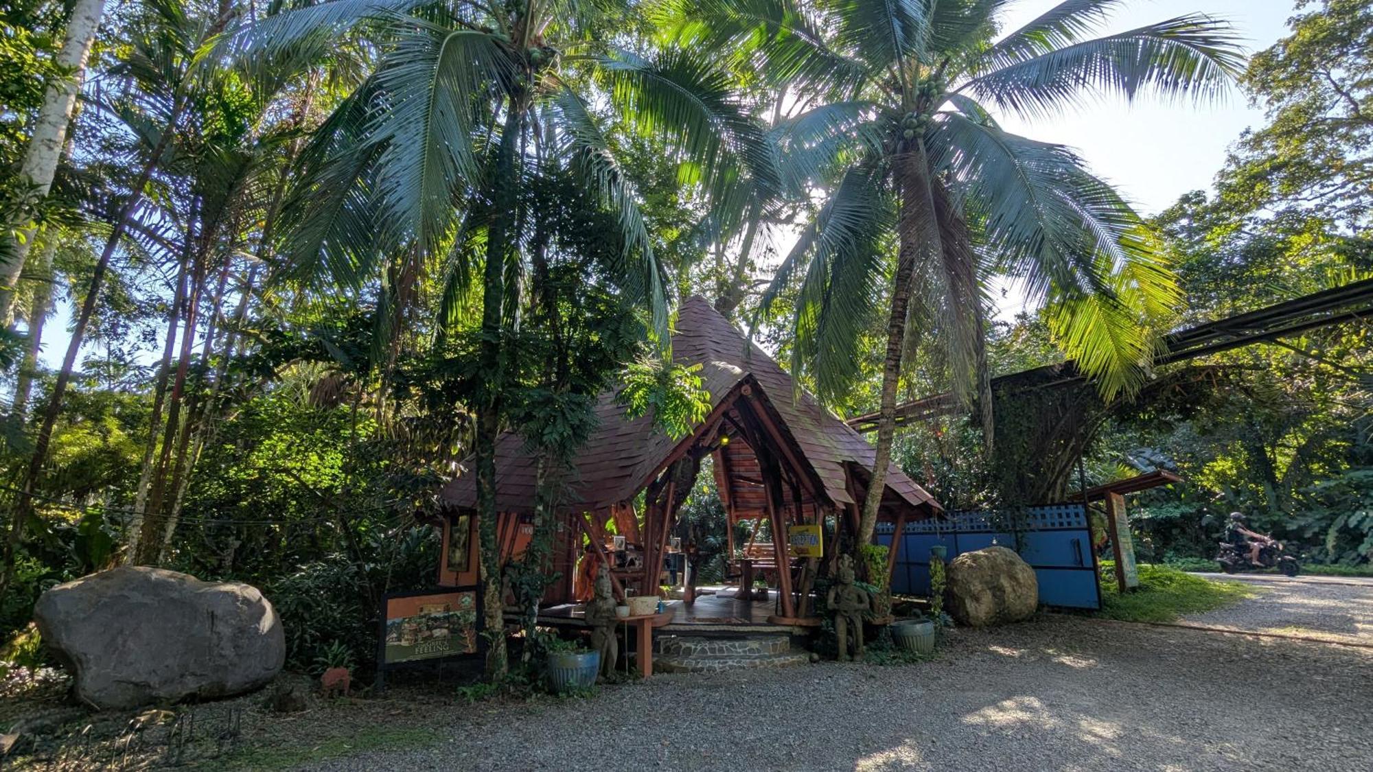 Tree House Beachfront Lodge Puerto Viejo de Talamanca 외부 사진