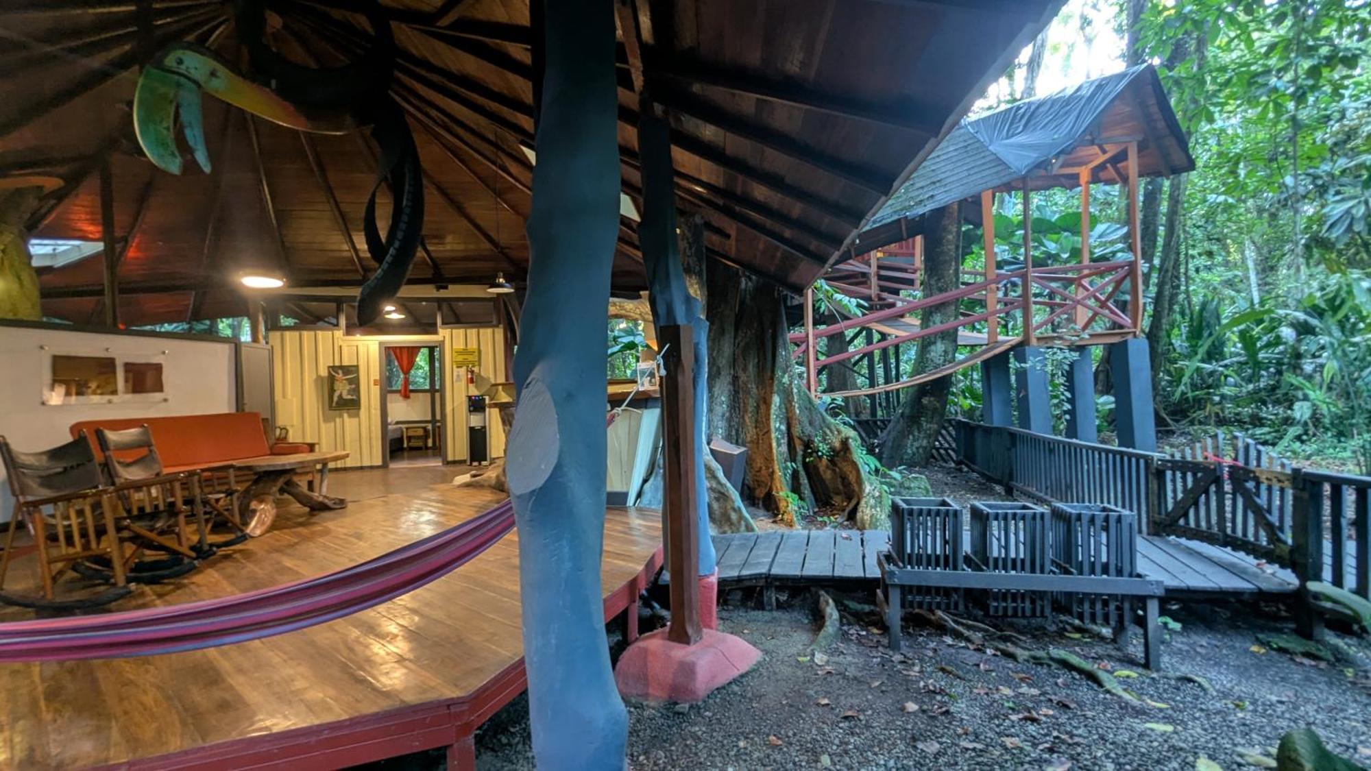 Tree House Beachfront Lodge Puerto Viejo de Talamanca 외부 사진