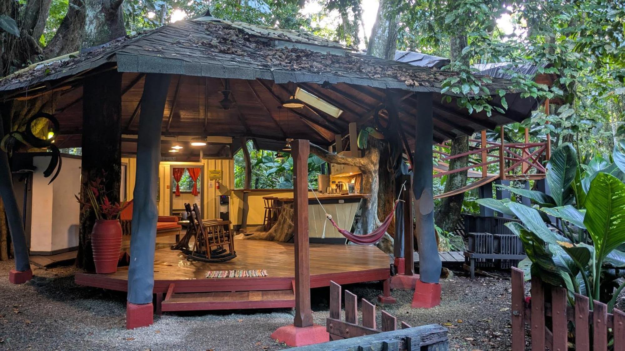 Tree House Beachfront Lodge Puerto Viejo de Talamanca 외부 사진